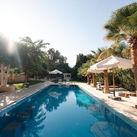 Tzila Lodge Al Fayyūm Dış mekan fotoğraf