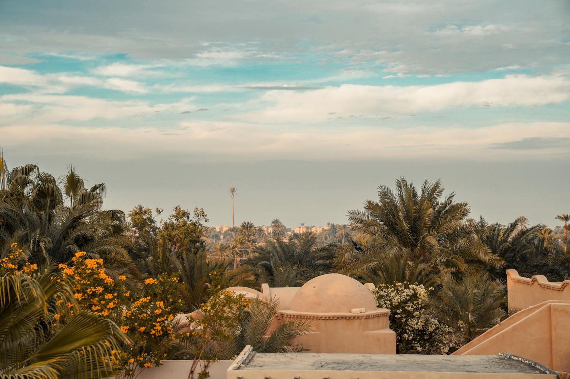 Tzila Lodge Al Fayyūm Dış mekan fotoğraf