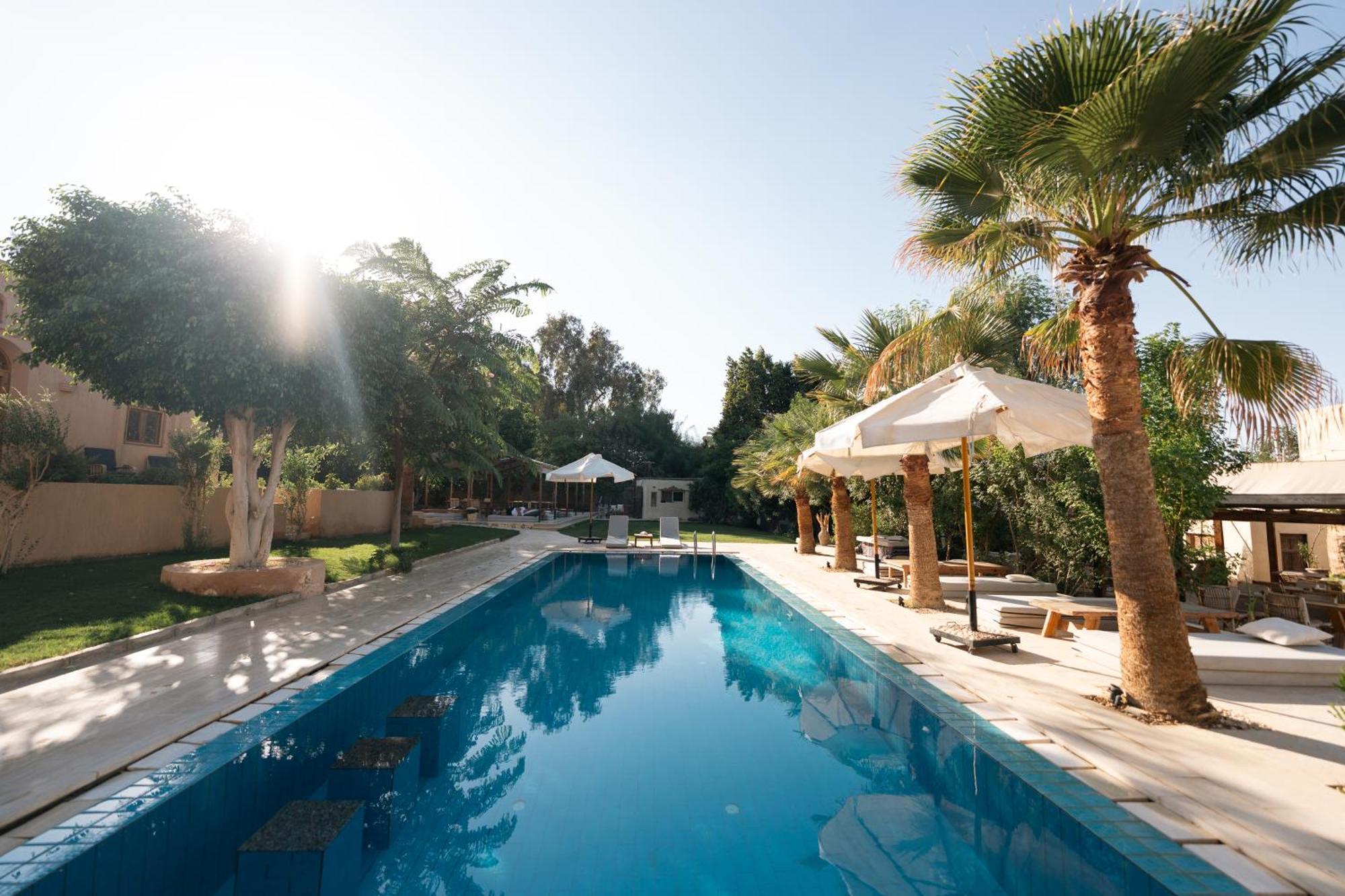 Tzila Lodge Al Fayyūm Dış mekan fotoğraf